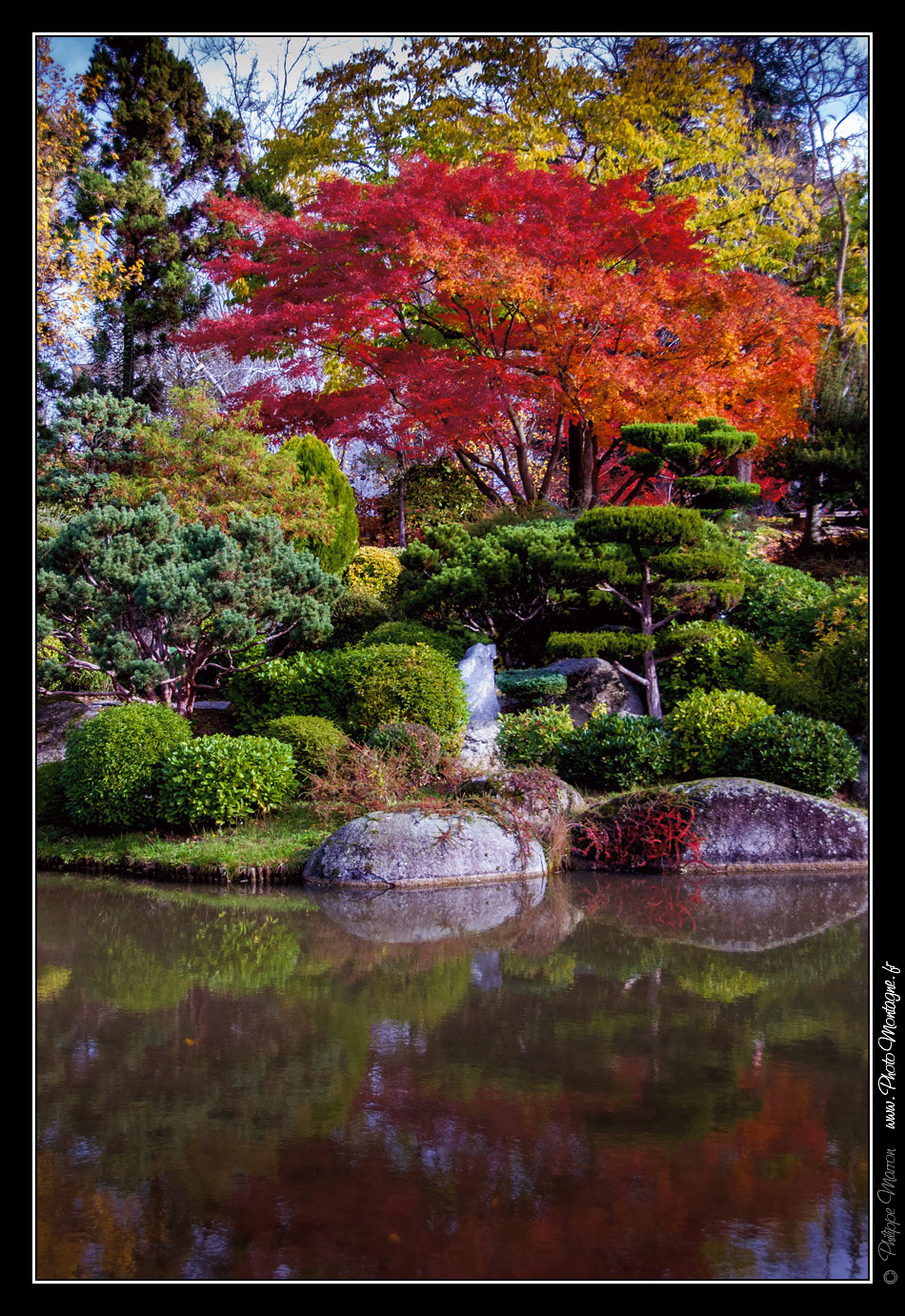 Jardin japonais toulouse-10